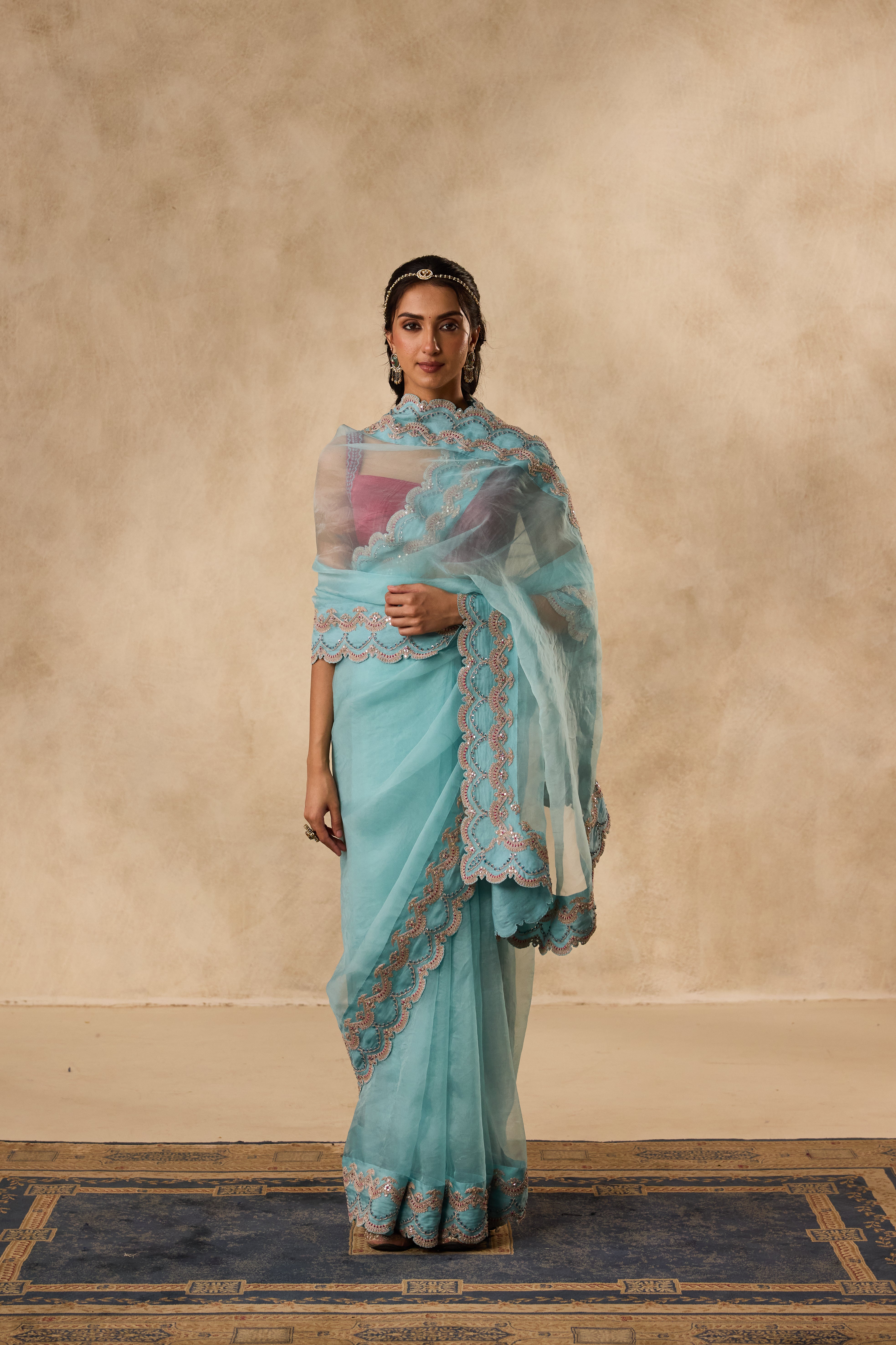 Sky blue dori & sequins embroidered border organza saree  paired with unstitched & unembroidered blouse fabric