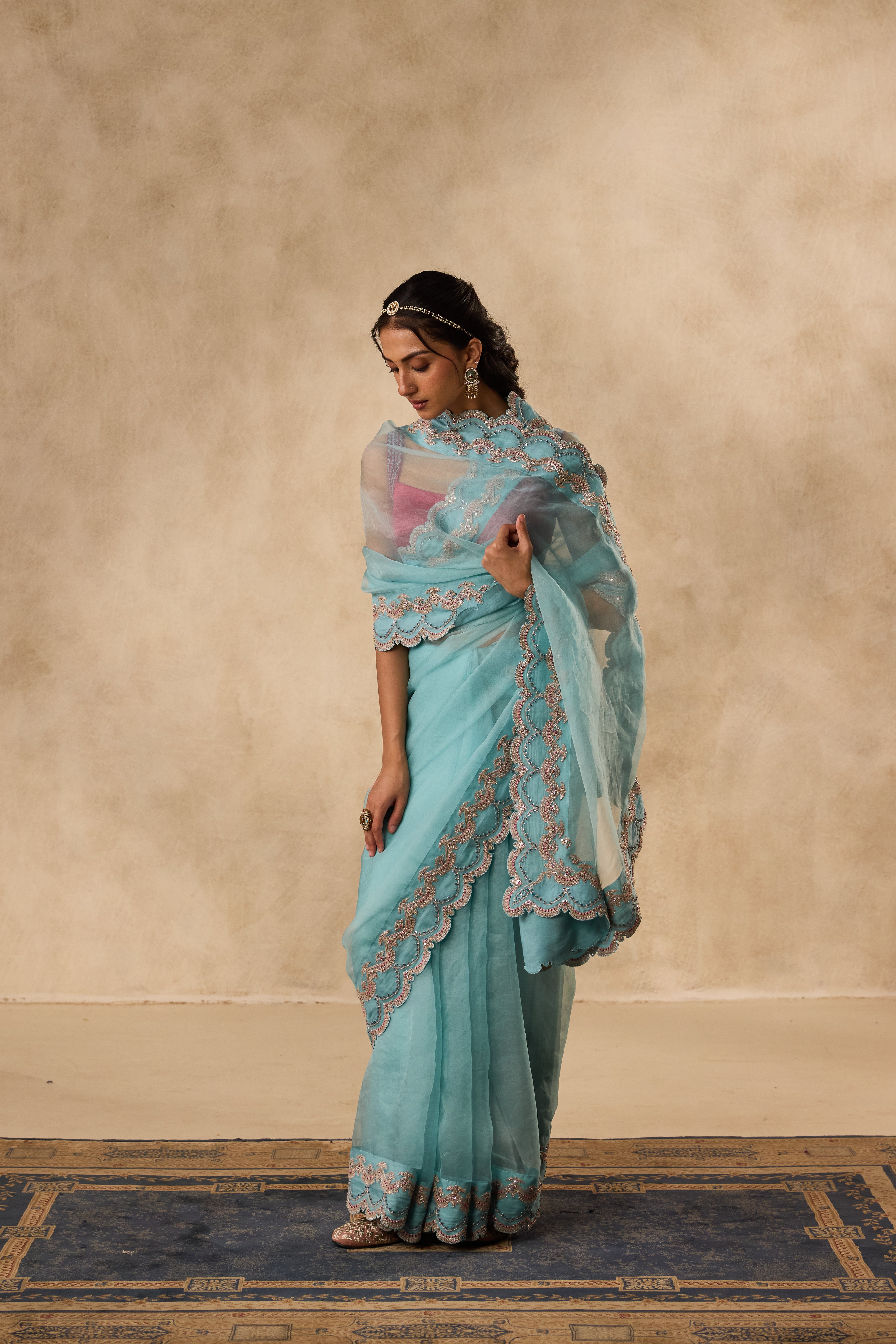 Sky blue dori & sequins embroidered border organza saree  paired with unstitched & unembroidered blouse fabric