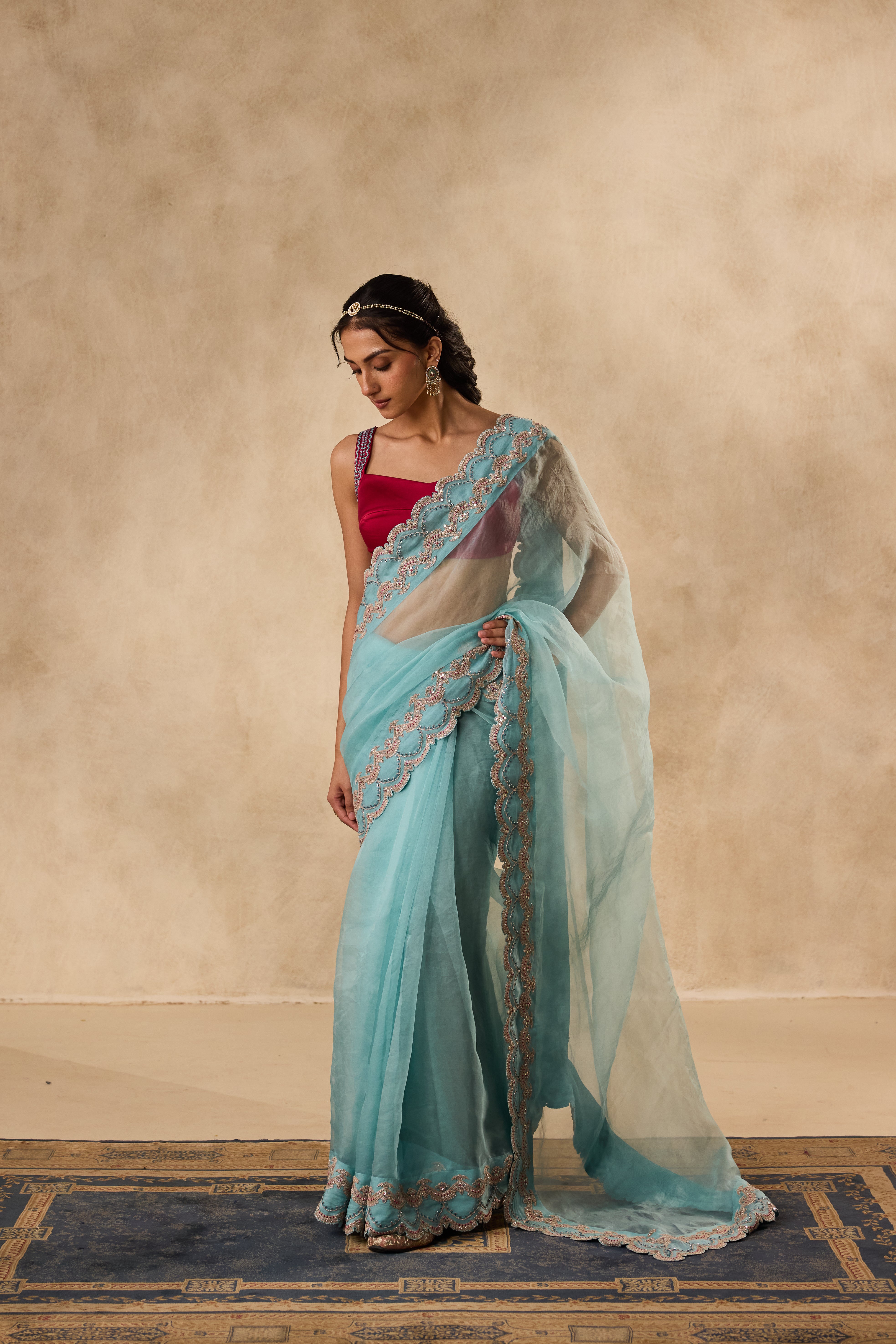 Sky blue dori & sequins embroidered border organza saree  paired with unstitched & unembroidered blouse fabric
